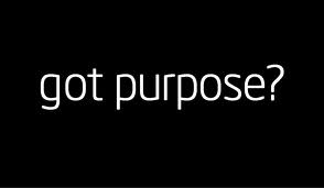 GotPurpose?2
