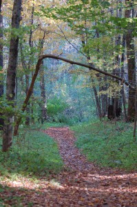 DSC_1896