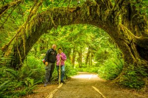Hoh Rain Forest, Olympia NP