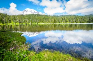 Reflection Lake in the Mt. Rainier National Park